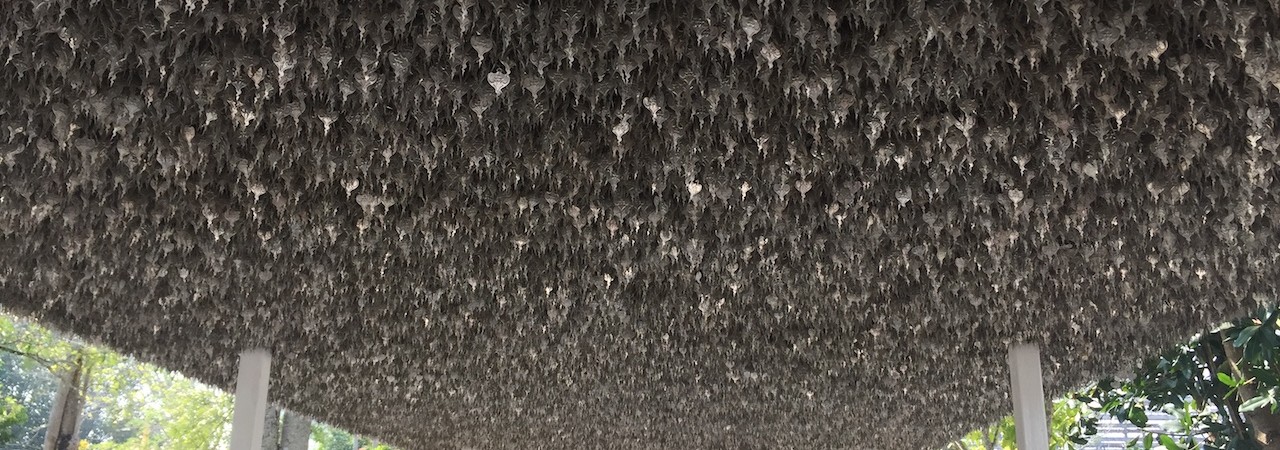 Repudiandae pariatur repellat facere cupiditate.